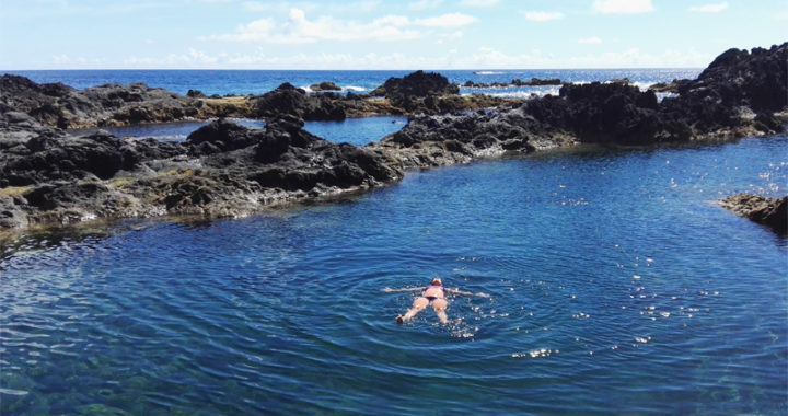 Piscinas naturales en la isla de Flores - En las piscinas naturales, incluso sin meter la cabeza en el agua ya vemos muchos peces.